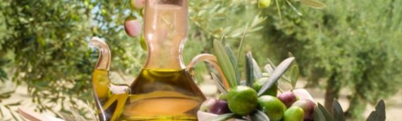 Extra virgin olive oil & acute pancreatitis