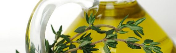 Olive Oil Has Anti-Bacterial Properties