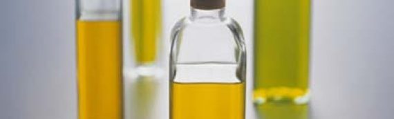 Factors determining taste of Olive Oil